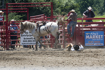 Image showing Rodeo