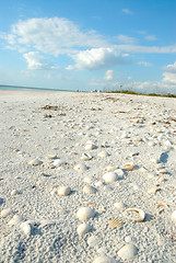 Image showing Beach at Lovers Key Florida USA