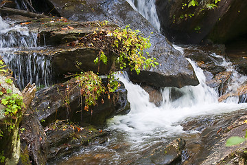 Image showing Forest waterfall in Helen Georgia.