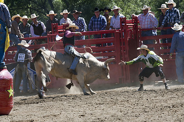 Image showing Rodeo