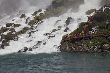 Image showing Niagara Falls