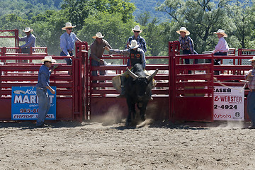 Image showing Rodeo