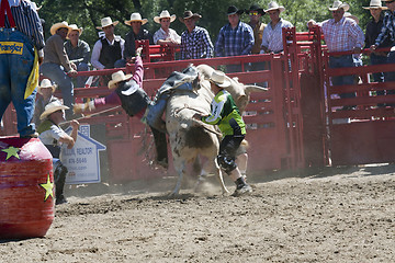 Image showing Rodeo