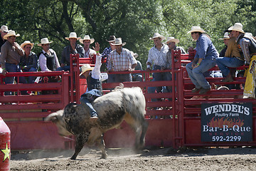 Image showing Rodeo