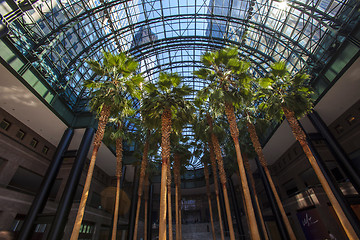 Image showing World Financial Center Winter Garden Atrium - Manhattan, New Yor