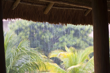 Image showing Raining