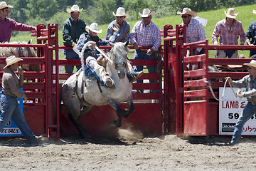 Image showing Rodeo