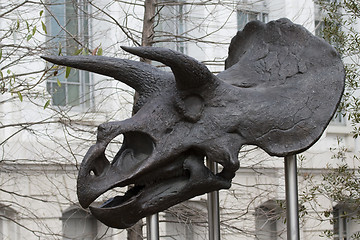 Image showing Stock Photo:
Dinosaur skull. National museum of natural history.
