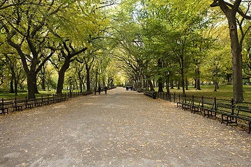 Image showing  Center Park NY . Beautiful park in beautiful