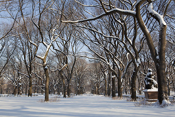 Image showing Central Park, New York. Beautiful park in beautiful city. 