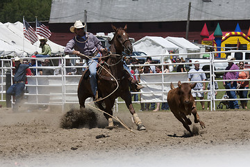 Image showing Rodeo