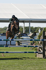 Image showing show jumping 