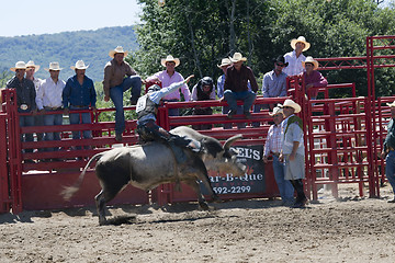 Image showing Rodeo