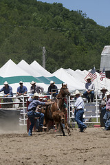 Image showing Rodeo