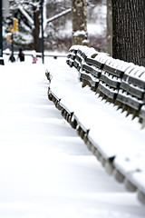 Image showing Snow covered benches in Central Park