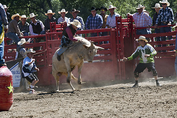 Image showing Rodeo