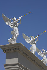 Image showing Angel trumpeter 