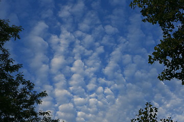 Image showing  clouds in the blue sky 