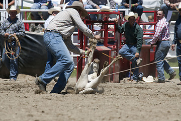 Image showing Rodeo