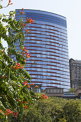 Image showing Part of Battery Park City