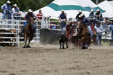 Image showing Rodeo