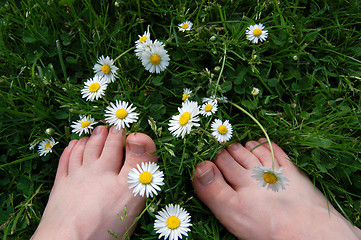 Image showing Two bare feet among daisies, clover and grass