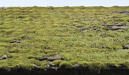 Image showing overgrown roof