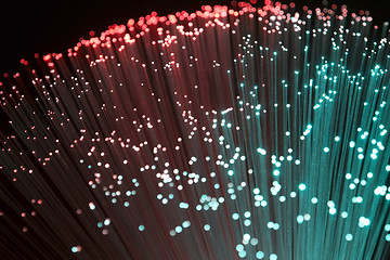 Image showing Plastic optical fibers