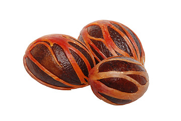 Image showing Three whole nutmeg seeds covered in mace