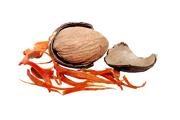Image showing Whole nutmeg broken open with mace and seed case