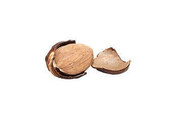 Image showing Whole nutmeg broken open