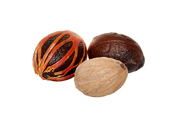 Image showing Three whole nutmegs - covered in mace, in case and seed