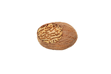 Image showing Whole nutmeg showing a grated face