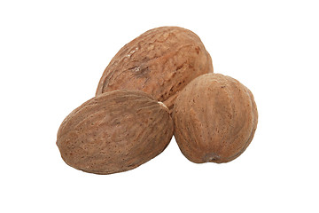 Image showing Three whole nutmeg
