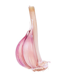 Image showing Fresh garlic