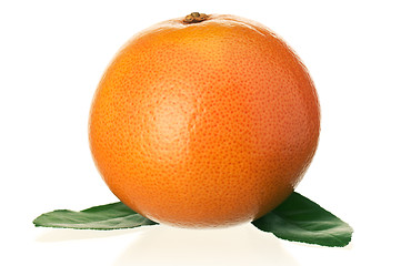 Image showing Ripe grapefruit