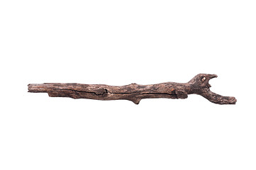 Image showing Tree branch