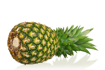 Image showing Pineapple