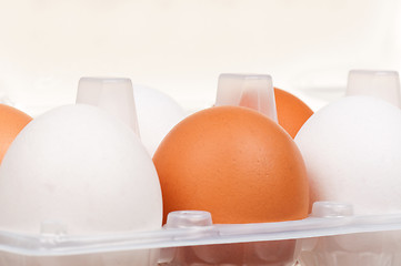 Image showing Eggs in box