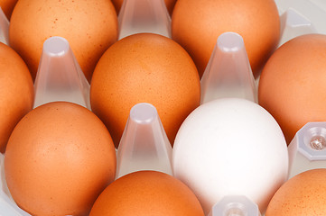 Image showing Eggs in box