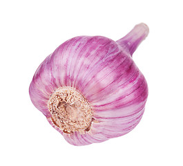 Image showing Fresh garlic