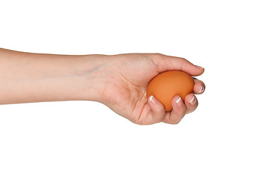 Image showing Hand with egg