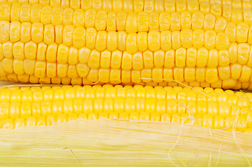 Image showing Fresh corn