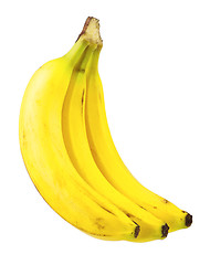 Image showing Ripe bananas