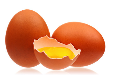 Image showing Chicken eggs