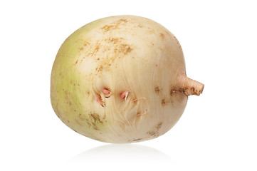 Image showing Fresh radish