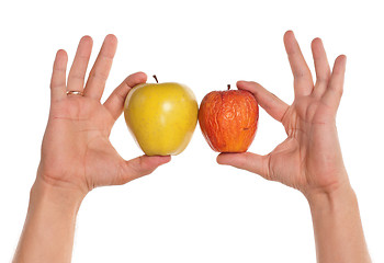 Image showing Hand with apple