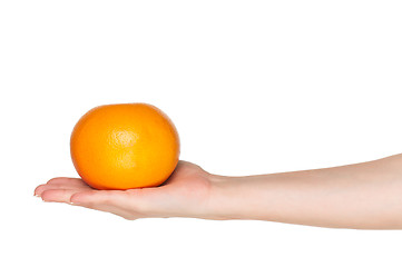 Image showing Hand with grapefruit