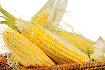 Image showing Fresh corn