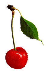 Image showing Sweet cherries